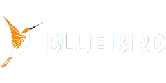 Blue Bird Digital Marketing Agency