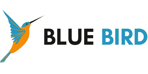 Blue Bird Digital Marketing Agency