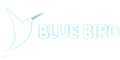 Blue Bird Digital Marketing Agency